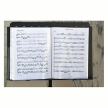 Load image into Gallery viewer, A4 Size 40-Pocket Plastic Music Sheet File Folder - Perfect for Document Storage