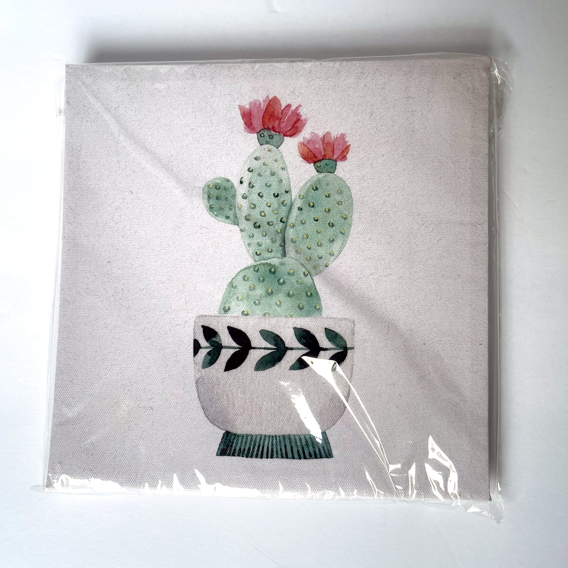 22 x 22 cm Wooden Framed Canvas Printed Painting for Your Home, Office Decor, or Wall Art, Cactus Flowers