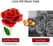 Load image into Gallery viewer, Valentines Day Gifts for Her, Real Rose Dipped in 24K Gold, Preserved Rose Flower