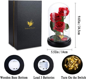 Valentine's Day Gifts for Her, Rose in Glass Dome Red Rose Gifts for Anniversary and Valentine's Day