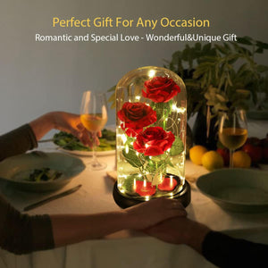 Valentine's Day Gifts for Her, Rose in Glass Dome Red Rose Gifts for Anniversary and Valentine's Day