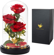 Load image into Gallery viewer, Valentine&#39;s Day Gifts for Her, Rose in Glass Dome Red Rose Gifts for Anniversary and Valentine&#39;s Day