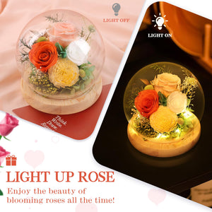 Valentine's Day Gifts for Her, Preserved Real Flowers Eternal Rose in Glass Dome, Forever Flowers for Delivery