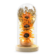 Load image into Gallery viewer, Sunflower Gifts for Women, Sunflowers Artificial Flowers in Glass Dome with LED Strip (Yellow)