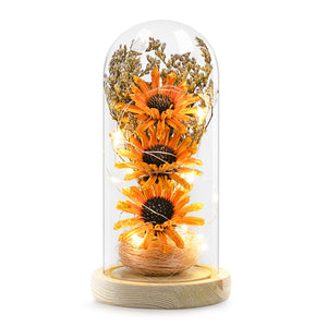 Sunflower Gifts for Women, Sunflowers Artificial Flowers in Glass Dome with LED Strip (Yellow)