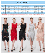 Load image into Gallery viewer, Z&amp;X Women&#39;s Salsa Latin Dance Dress Glitter Sequin Fringe Flapper Party Dress Ballroom Dance Outfits