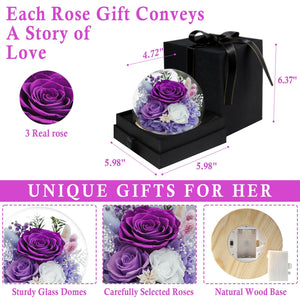 Valentine's Day Gifts for Her, Preserved Real Flowers Eternal Rose in Glass Dome, Forever Flowers for Delivery