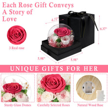 Load image into Gallery viewer, Valentine&#39;s Day Gifts for Her, Preserved Real Flowers Eternal Rose in Glass Dome, Forever Flowers for Delivery