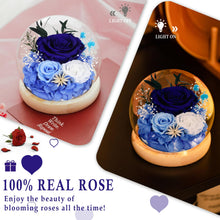 Load image into Gallery viewer, Valentine&#39;s Day Gifts for Her, Preserved Real Flowers Eternal Rose in Glass Dome, Forever Flowers for Delivery