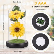 Load image into Gallery viewer, Sunflower Gifts for Women, Sunflowers Artificial Flowers in Glass Dome with LED Strip (Yellow)