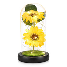 Load image into Gallery viewer, Sunflower Gifts for Women, Sunflowers Artificial Flowers in Glass Dome with LED Strip (Yellow)