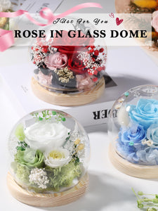 Valentine's Day Gifts for Her, Preserved Real Flowers Eternal Rose in Glass Dome, Forever Flowers for Delivery