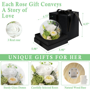 Valentine's Day Gifts for Her, Preserved Real Flowers Eternal Rose in Glass Dome, Forever Flowers for Delivery