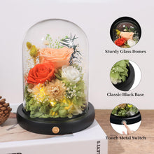 Load image into Gallery viewer, Valentine&#39;s Day Gifts for Her, Preserved Real Flowers Eternal Rose in Glass Dome, Forever Flowers for Delivery