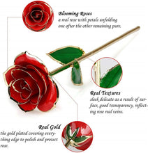 Load image into Gallery viewer, Valentines Day Gifts for Her, Real Rose Dipped in 24K Gold, Preserved Rose Flower