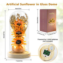 Load image into Gallery viewer, Sunflower Gifts for Women, Sunflowers Artificial Flowers in Glass Dome with LED Strip (Yellow)