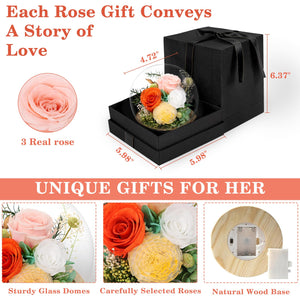 Valentine's Day Gifts for Her, Preserved Real Flowers Eternal Rose in Glass Dome, Forever Flowers for Delivery