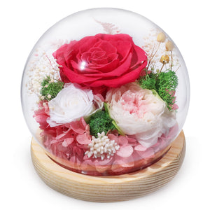 Valentine's Day Gifts for Her, Preserved Real Flowers Eternal Rose in Glass Dome, Forever Flowers for Delivery