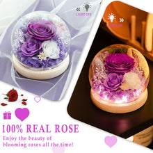 Load image into Gallery viewer, Valentine&#39;s Day Gifts for Her, Preserved Real Flowers Eternal Rose in Glass Dome, Forever Flowers for Delivery