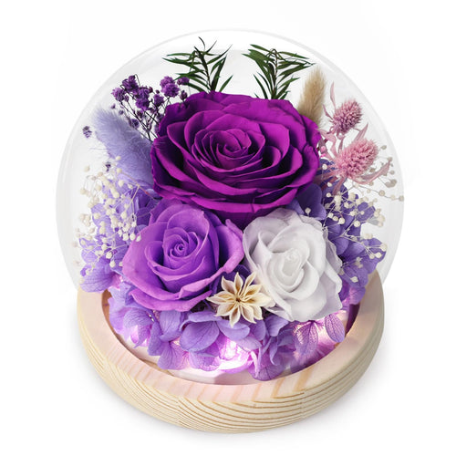 Valentine's Day Gifts for Her, Preserved Real Flowers Eternal Rose in Glass Dome, Forever Flowers for Delivery