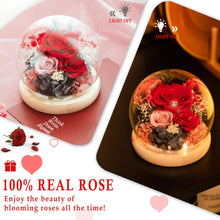 Load image into Gallery viewer, Valentine&#39;s Day Gifts for Her, Preserved Real Flowers Eternal Rose in Glass Dome, Forever Flowers for Delivery