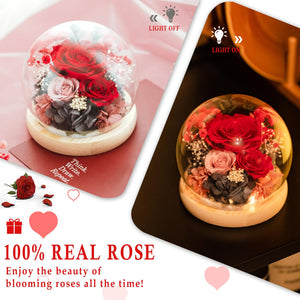 Valentine's Day Gifts for Her, Preserved Real Flowers Eternal Rose in Glass Dome, Forever Flowers for Delivery