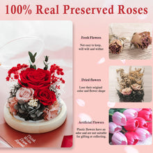 Load image into Gallery viewer, Valentine&#39;s Day Gifts for Her, Preserved Real Flowers Eternal Rose in Glass Dome, Forever Flowers for Delivery