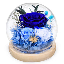 Load image into Gallery viewer, Valentine&#39;s Day Gifts for Her, Preserved Real Flowers Eternal Rose in Glass Dome, Forever Flowers for Delivery