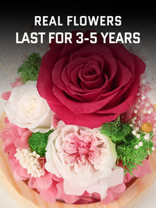 Valentine's Day Gifts for Her, Preserved Real Flowers Eternal Rose in Glass Dome, Forever Flowers for Delivery