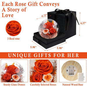 Valentine's Day Gifts for Her, Preserved Real Flowers Eternal Rose in Glass Dome, Forever Flowers for Delivery