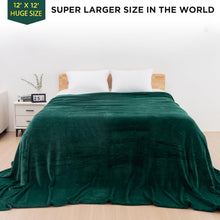 Load image into Gallery viewer, HOMFINE Oversized King Fleece Blanket 120x120 Inches - Ultra Soft Cozy Warm Giant Huge 10&#39;x10&#39; Blanket for Bed, Sofa, Couch, Travel, Camping, Extra Large 350 GSM Flannel Big Throw Blanket, Light Grey