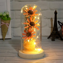 Load image into Gallery viewer, Sunflower Gifts for Women, Sunflowers Artificial Flowers in Glass Dome with LED Strip (Yellow)