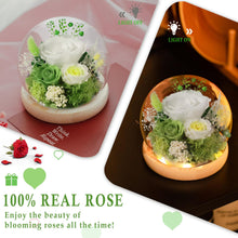 Load image into Gallery viewer, Valentine&#39;s Day Gifts for Her, Preserved Real Flowers Eternal Rose in Glass Dome, Forever Flowers for Delivery