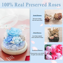 Load image into Gallery viewer, Valentine&#39;s Day Gifts for Her, Preserved Real Flowers Eternal Rose in Glass Dome, Forever Flowers for Delivery