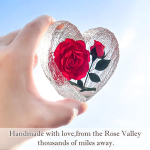 Preserved Red Real Rose Valentines Day Gifts for Her, Romantic Valentines Day Gift in 6 Styles