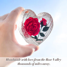 Load image into Gallery viewer, Preserved Red Real Rose Valentines Day Gifts for Her, Romantic Valentines Day Gift in 6 Styles