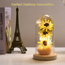 Load image into Gallery viewer, Sunflower Gifts for Women, Sunflowers Artificial Flowers in Glass Dome with LED Strip (Yellow)