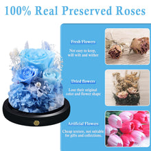 Load image into Gallery viewer, Valentine&#39;s Day Gifts for Her, Preserved Real Flowers Eternal Rose in Glass Dome, Forever Flowers for Delivery