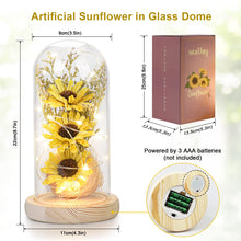 Load image into Gallery viewer, Sunflower Gifts for Women, Sunflowers Artificial Flowers in Glass Dome with LED Strip (Yellow)