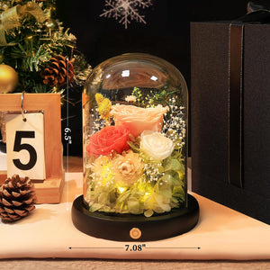 Valentine's Day Gifts for Her, Preserved Real Flowers Eternal Rose in Glass Dome, Forever Flowers for Delivery