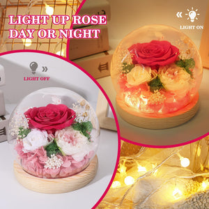 Valentine's Day Gifts for Her, Preserved Real Flowers Eternal Rose in Glass Dome, Forever Flowers for Delivery