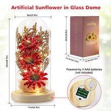 Load image into Gallery viewer, Sunflower Gifts for Women, Sunflowers Artificial Flowers in Glass Dome with LED Strip (Yellow)