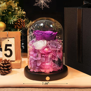 Valentine's Day Gifts for Her, Preserved Real Flowers Eternal Rose in Glass Dome, Forever Flowers for Delivery