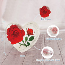 Load image into Gallery viewer, Preserved Red Real Rose Valentines Day Gifts for Her, Romantic Valentines Day Gift in 6 Styles