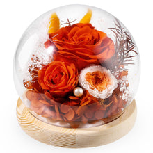 Load image into Gallery viewer, Valentine&#39;s Day Gifts for Her, Preserved Real Flowers Eternal Rose in Glass Dome, Forever Flowers for Delivery