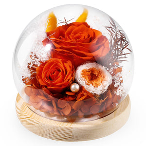 Valentine's Day Gifts for Her, Preserved Real Flowers Eternal Rose in Glass Dome, Forever Flowers for Delivery