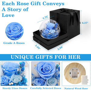 Valentine's Day Gifts for Her, Preserved Real Flowers Eternal Rose in Glass Dome, Forever Flowers for Delivery