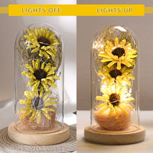 Load image into Gallery viewer, Sunflower Gifts for Women, Sunflowers Artificial Flowers in Glass Dome with LED Strip (Yellow)