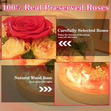 Load image into Gallery viewer, Valentine&#39;s Day Gifts for Her, Preserved Real Flowers Eternal Rose in Glass Dome, Forever Flowers for Delivery