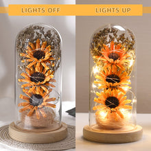 Load image into Gallery viewer, Sunflower Gifts for Women, Sunflowers Artificial Flowers in Glass Dome with LED Strip (Yellow)